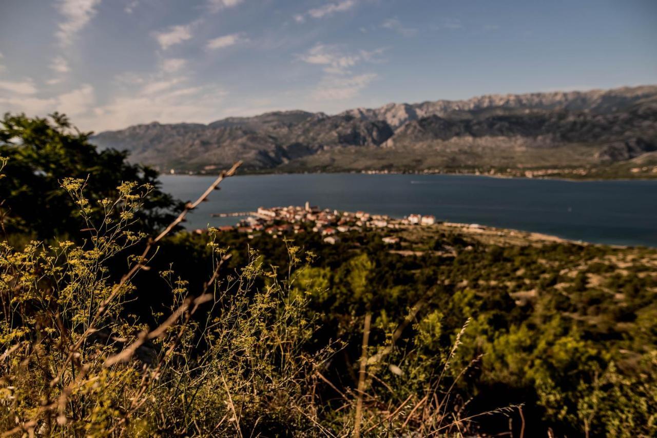 Vila La Familia, Zadar, Vinjerac Exteriér fotografie
